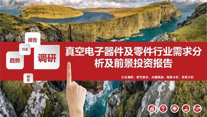 2021年真空电子器件及零件行业需求分析与前景投资报告